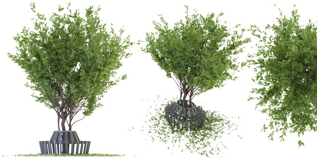 Collection Plant Vol 106 - Blender Model 3D Model .c4d .max .obj .3ds .fbx .stl .blend 