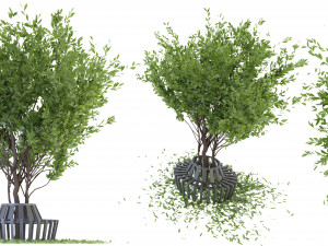 Collection Plant Vol 106 - Blender Model Model 3D