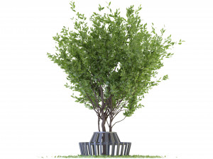 Collection Plant Vol 106 - Blender Model 3D Model