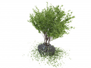 Collection Plant Vol 106 - Blender Model 3D Model