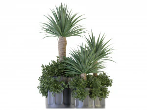 Collection Plant Vol 108 - Blender Model 3D Model