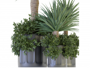Collection Plant Vol 108 - Blender Model Model 3D