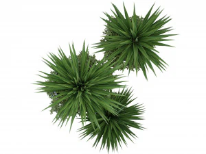 Collection Plant Vol 108 - Blender Model 3D Model