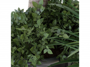 Collection Plant Vol 108 - Blender Model Model 3D