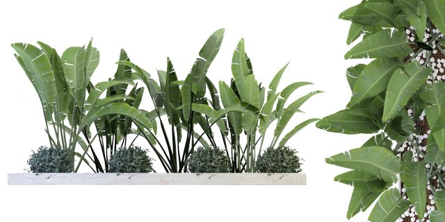 Collection Plant Vol 109 - Blender Model Modèle 3D .c4d .max .obj .3ds .fbx .stl .blend 