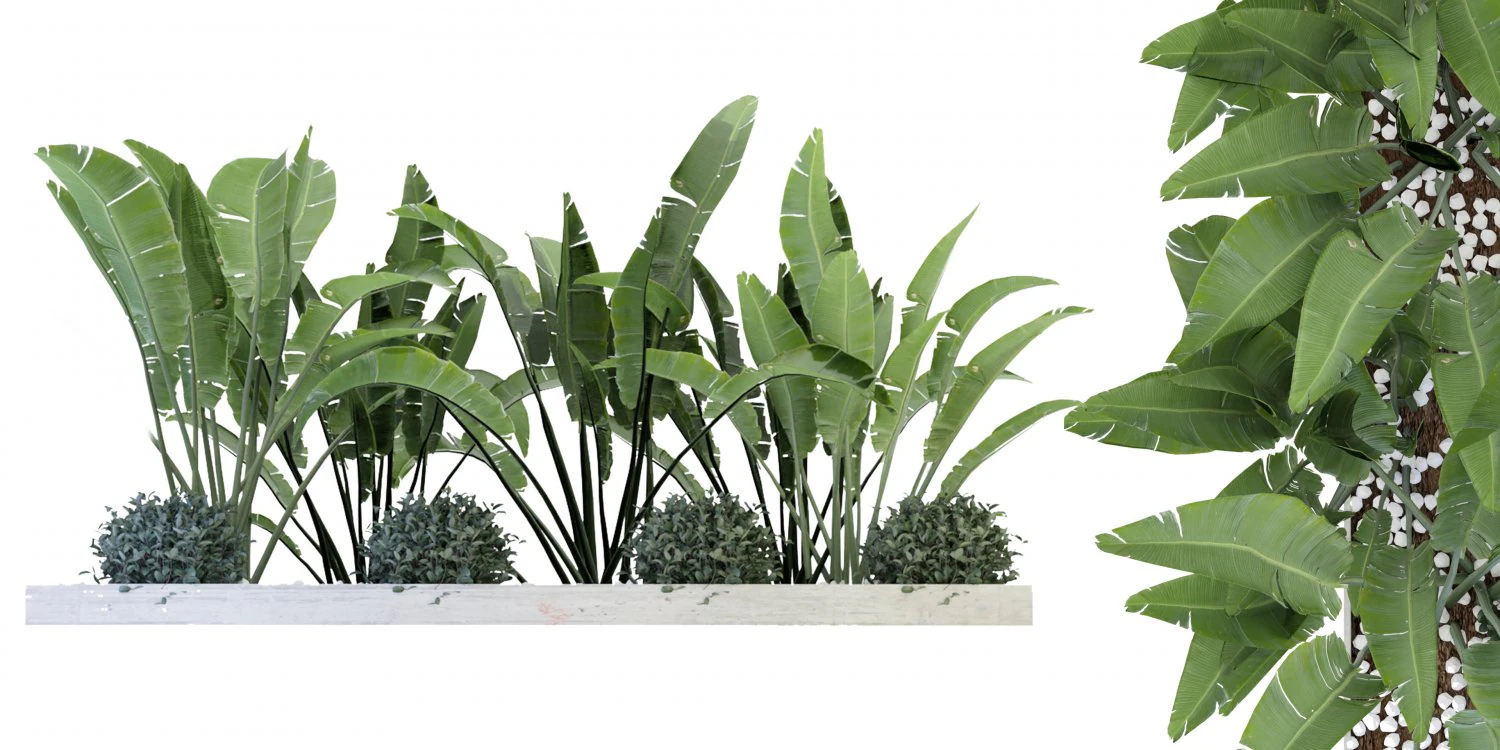 Collection Plant Vol 109 - Blender Model 3D Model .c4d .max .obj .3ds .fbx .stl .blend 