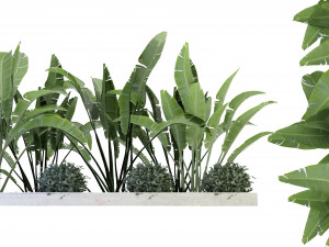 Collection Plant Vol 109 - Blender Model Model 3D