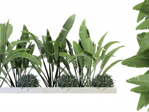 Коллекция Plant Vol. 109 &mdash; Модель блендера 3D Модель