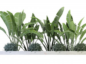 Collection Plant Vol 109 - Blender Model Modèle 3D