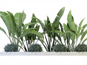 Collection Plant Vol 109 - Blender Model 3D Model