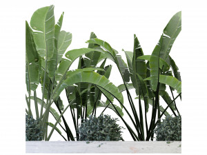Collection Plant Vol 109 - Blender Model Modèle 3D