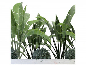 Collection Plant Vol 109 - Blender Model 3D Model