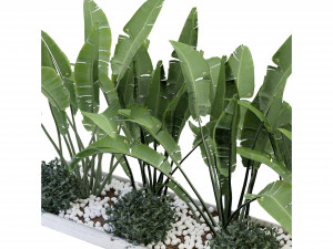 Collection Plant Vol 109 - Blender Model Modèle 3D