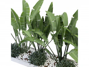 Collection Plant Vol 109 - Blender Model 3D Model
