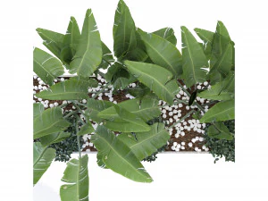 Collection Plant Vol 109 - Blender Model 3D Model