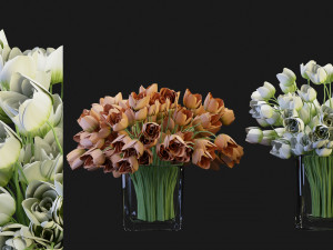 Collection Plant Vol 114 - Blender Model 3D Model