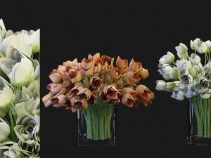 Collection Plant Vol 114 &ndash; Blender-Modell 3D Modell