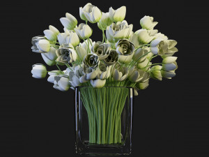 Collection Plant Vol 114 - Blender Model 3D Model