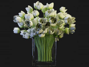 Collection Plant Vol 114 - Blender Model 3D Model