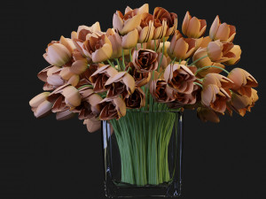 Collection Plant Vol 114 - Blender Model 3D Model