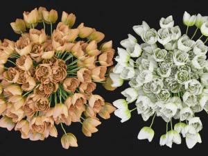Collection Plant Vol 114 - Blender Model 3D Model