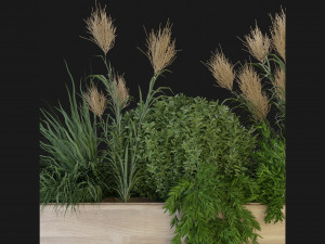 Collection Plant Vol 116 - Blender Model 3D Modell