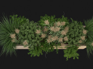 Collection Plant Vol 116 - Blender Model 3D Modell