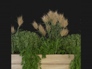 Collection Plant Vol 116 - Blender Model 3D Modell