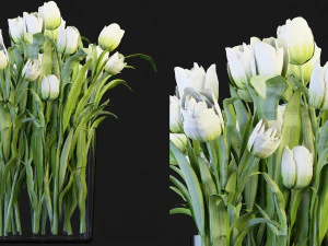 Collection Plant Vol 119 &ndash; Blender-Modell 3D Modell