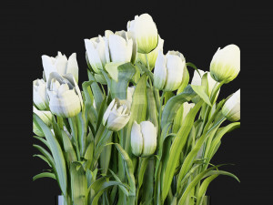 Collection Plant Vol 119 - Blender Model 3D-Modell