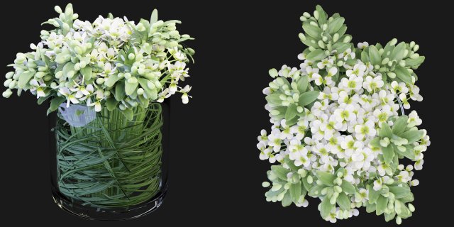 Collection Plant Vol 123 Blender Model 3D 模型 .c4d .max .obj .3ds .fbx .stl .blend 