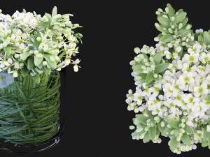 Collection Plant Vol 123 Blender Model 3D Model