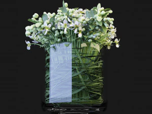 Collection Plant Vol 123 Blender Model 3D Model