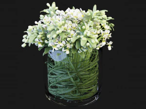Collection Plant Vol 123 Blender Model 3D Model