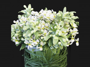 Collection Plant Vol 123 Blender Model 3D 模型