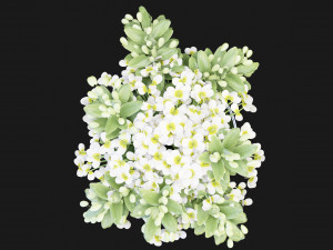 Collection Plant Vol 123 Blender Model 3D 模型