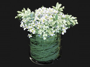 Collection Plant Vol 123 Blender Model 3D 模型