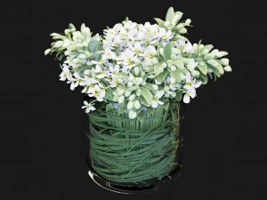 Collection Plant Vol 123 Blender Model 3D Model