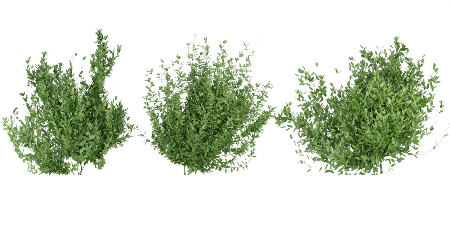 Collection Plant Vol 124 - Blender Model 3D Model .c4d .max .obj .3ds .fbx .stl .blend 