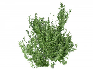 Collection Plant Vol 124 - Blender Model 3D Model