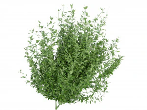 Collection Plant Vol 124 - Blender Model 3D Model