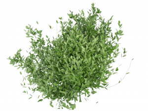 Collection Plant Vol 124 - Blender Model Model 3D