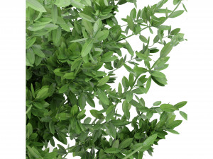 Collection Plant Vol 124 - Blender Model Model 3D