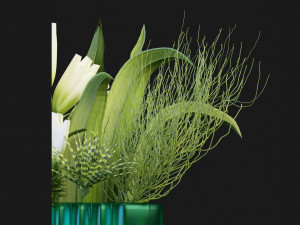 Collection Plant Vol 129 - Blender Model Modelo 3D