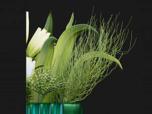 Collection Plant Vol 129 - Blender Model 3D Model