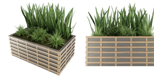 Collection Plant Vol 132 - Blender Model 3Dモデル .c4d .max .obj .3ds .fbx .stl .blend 