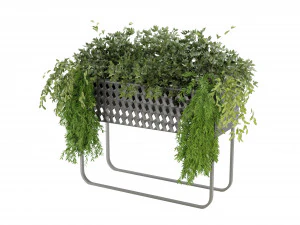 Collection Plant Vol 133 - Blender Model 3D Model
