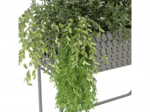 Collection Plant Vol 133 - Blender Model 3D Model