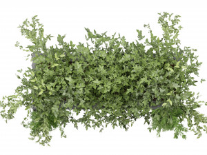 Collection Plant Vol 133 - Blender Model 3D Модель