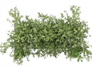 Collection Plant Vol 133 - Blender Model 3D Model